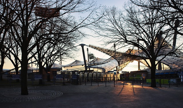 在的转会交 在的转会交